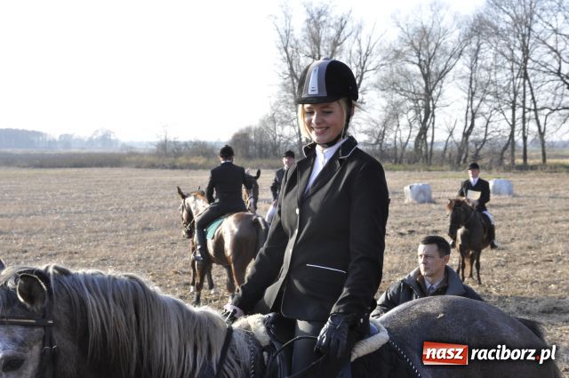 Zdjęcie w galerii na portalu naszraciborz.pl: Lis złapany w OKAMGNIENIU wiadomości z regionu