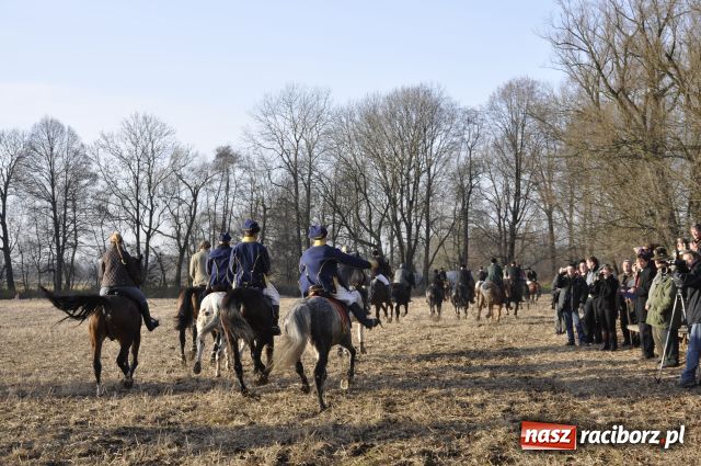 Zdjęcie w galerii na portalu naszraciborz.pl: Lis złapany w OKAMGNIENIU wiadomości z regionu