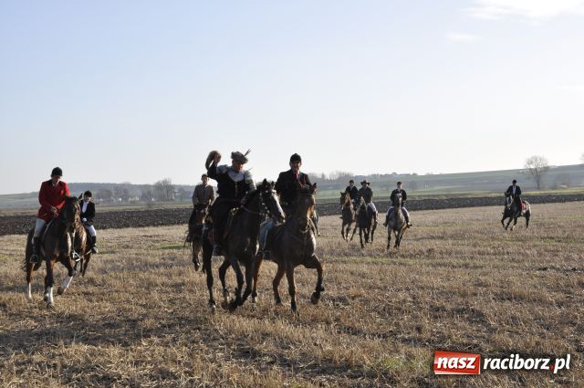 Zdjęcie w galerii na portalu naszraciborz.pl: Lis złapany w OKAMGNIENIU wiadomości z regionu