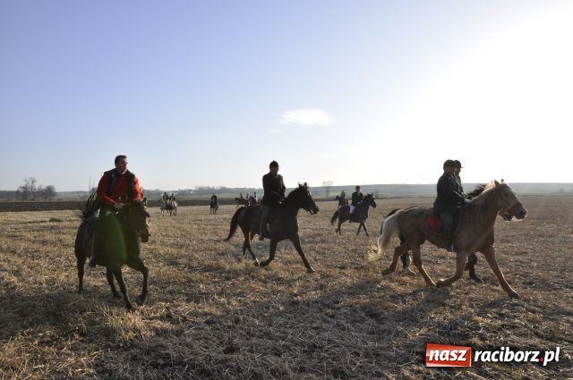 Zdjęcie w galerii na portalu naszraciborz.pl: Lis złapany w OKAMGNIENIU wiadomości z regionu