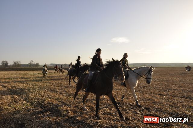 Zdjęcie w galerii na portalu naszraciborz.pl: Lis złapany w OKAMGNIENIU wiadomości z regionu