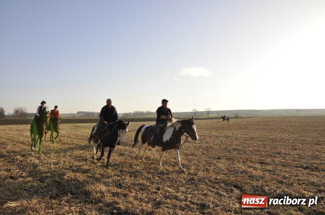 Zdjęcie w galerii na portalu naszraciborz.pl: Lis złapany w OKAMGNIENIU wiadomości z regionu