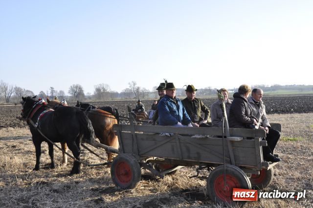 Zdjęcie w galerii na portalu naszraciborz.pl: Lis złapany w OKAMGNIENIU wiadomości z regionu