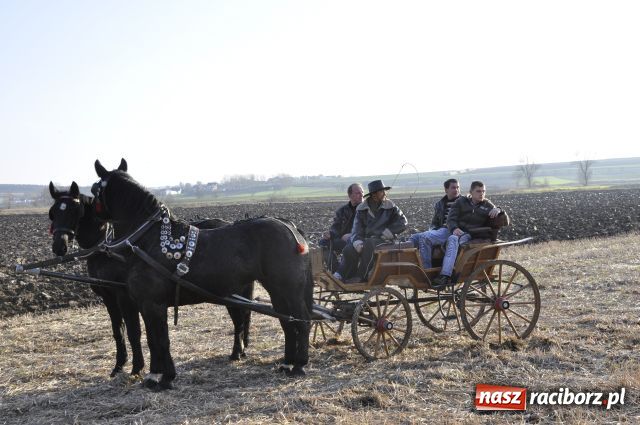 Zdjęcie w galerii na portalu naszraciborz.pl: Lis złapany w OKAMGNIENIU wiadomości z regionu