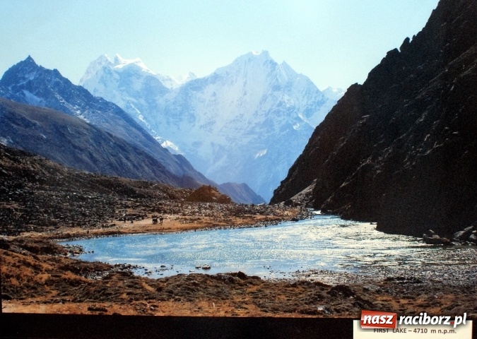 Zdjęcie w galerii na portalu naszraciborz.pl: Wystawa fotografii Janusza Mendyka w bibliotece  wiadomości z regionu
