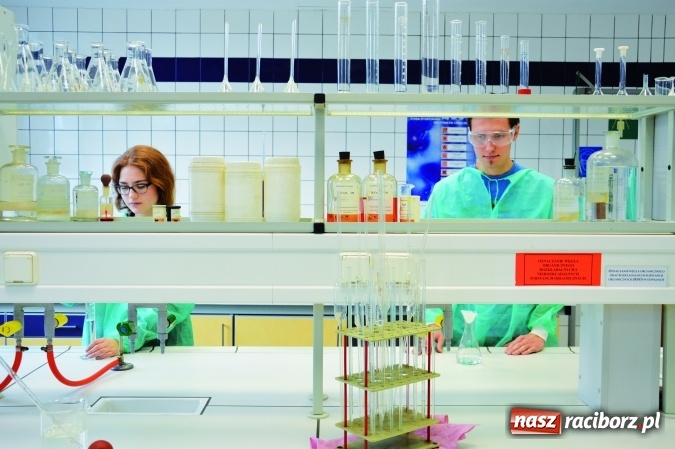 Zdjęcie w galerii na portalu naszraciborz.pl: Jak zwiększyć swoje szanse na rynku pracy? Mamy na to sposób! wiadomości z regionu