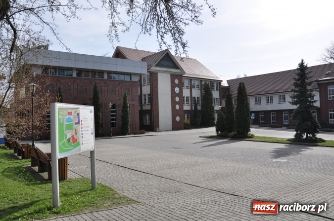 Zdjęcie w galerii na portalu naszraciborz.pl: Jak zwiększyć swoje szanse na rynku pracy? Mamy na to sposób! wiadomości z regionu