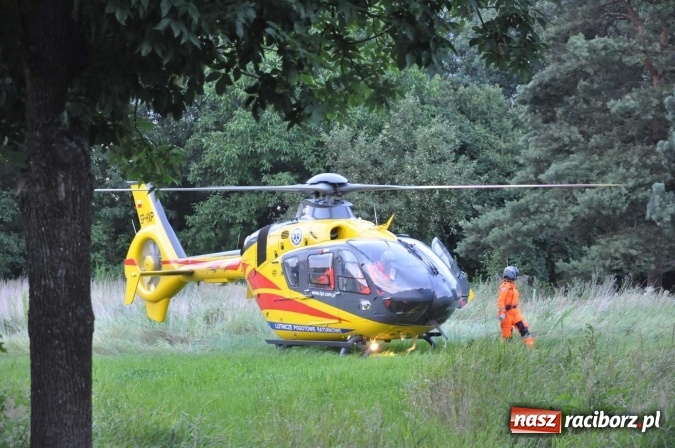 Zdjęcie w galerii na portalu naszraciborz.pl: Śmiertelny wypadek na trasie Racibórz-Lubomia. Na Brzeskiej motocyklista zderzył się z samochodem rover wiadomości z regionu