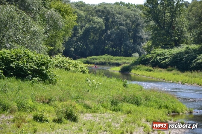 Zdjęcie w galerii na portalu naszraciborz.pl: Meander Orient Express 2016 - fotorelacja wiadomości z regionu