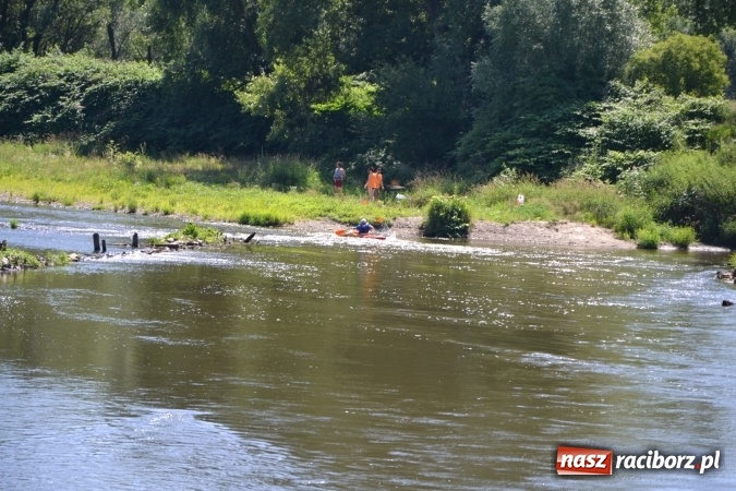 Zdjęcie w galerii na portalu naszraciborz.pl: Meander Orient Express 2016 - fotorelacja wiadomości z regionu