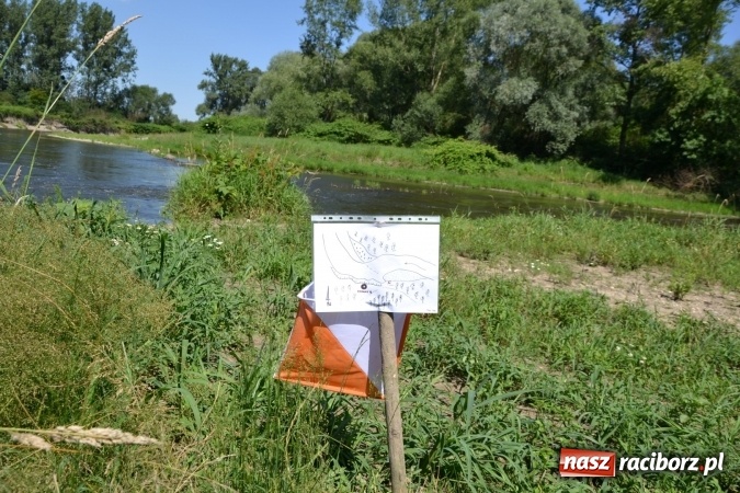 Zdjęcie w galerii na portalu naszraciborz.pl: Meander Orient Express 2016 - fotorelacja wiadomości z regionu
