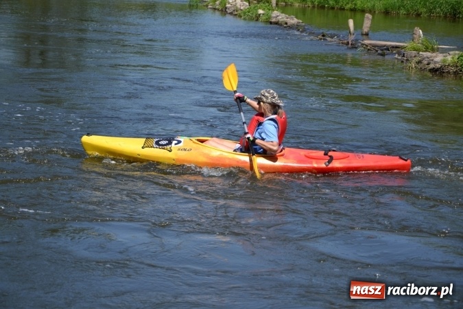 Zdjęcie w galerii na portalu naszraciborz.pl: Meander Orient Express 2016 - fotorelacja wiadomości z regionu