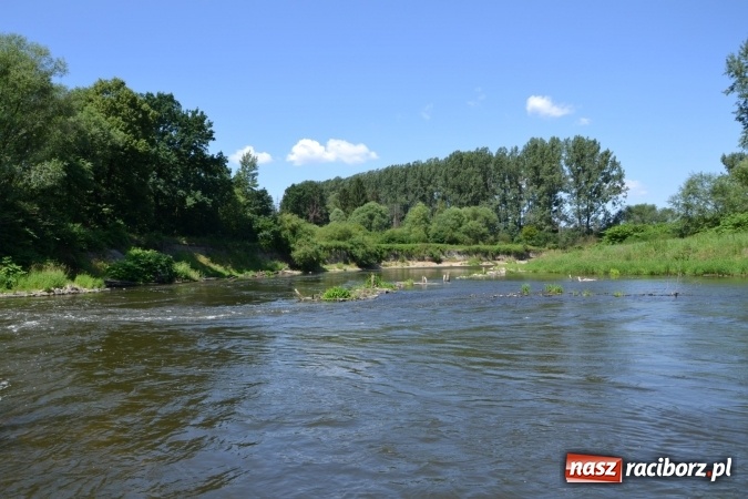 Zdjęcie w galerii na portalu naszraciborz.pl: Meander Orient Express 2016 - fotorelacja wiadomości z regionu