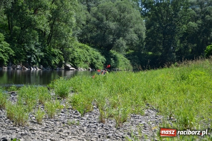 Zdjęcie w galerii na portalu naszraciborz.pl: Meander Orient Express 2016 - fotorelacja wiadomości z regionu
