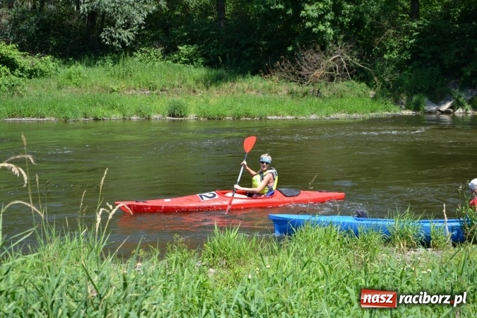 Zdjęcie w galerii na portalu naszraciborz.pl: Meander Orient Express 2016 - fotorelacja wiadomości z regionu