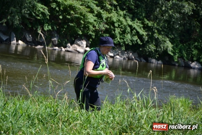 Zdjęcie w galerii na portalu naszraciborz.pl: Meander Orient Express 2016 - fotorelacja wiadomości z regionu