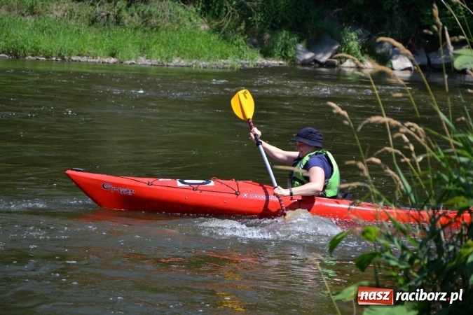 Zdjęcie w galerii na portalu naszraciborz.pl: Meander Orient Express 2016 - fotorelacja wiadomości z regionu