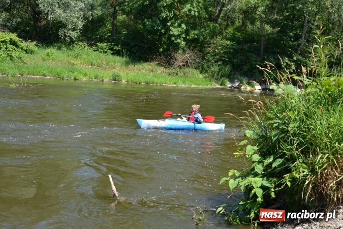 Zdjęcie w galerii na portalu naszraciborz.pl: Meander Orient Express 2016 - fotorelacja wiadomości z regionu