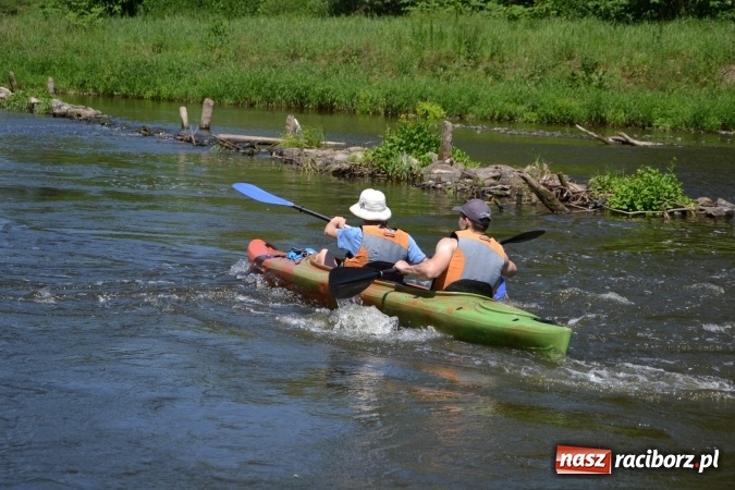 Zdjęcie w galerii na portalu naszraciborz.pl: Meander Orient Express 2016 - fotorelacja wiadomości z regionu
