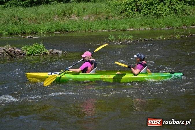 Zdjęcie w galerii na portalu naszraciborz.pl: Meander Orient Express 2016 - fotorelacja wiadomości z regionu