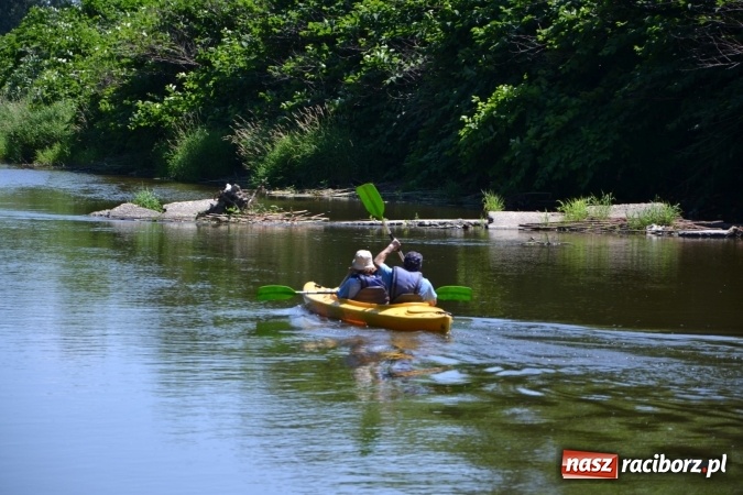Zdjęcie w galerii na portalu naszraciborz.pl: Meander Orient Express 2016 - fotorelacja wiadomości z regionu