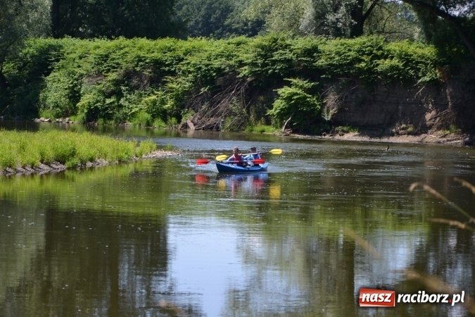Zdjęcie w galerii na portalu naszraciborz.pl: Meander Orient Express 2016 - fotorelacja wiadomości z regionu