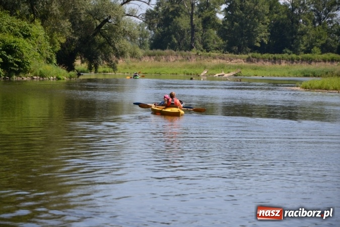 Zdjęcie w galerii na portalu naszraciborz.pl: Meander Orient Express 2016 - fotorelacja wiadomości z regionu