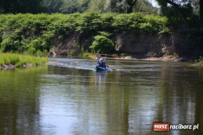 Zdjęcie w galerii na portalu naszraciborz.pl: Meander Orient Express 2016 - fotorelacja wiadomości z regionu