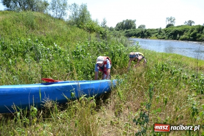 Zdjęcie w galerii na portalu naszraciborz.pl: Meander Orient Express 2016 - fotorelacja wiadomości z regionu
