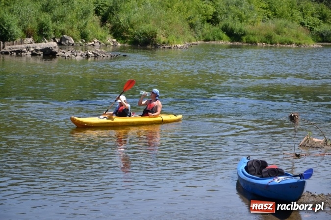 Zdjęcie w galerii na portalu naszraciborz.pl: Meander Orient Express 2016 - fotorelacja wiadomości z regionu