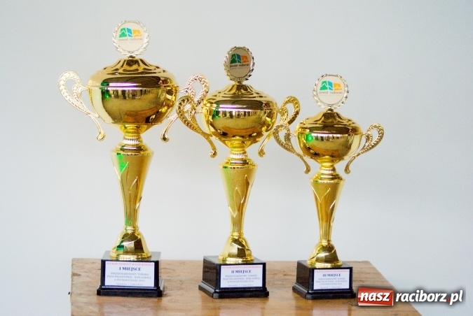 Zdjęcie w galerii na portalu naszraciborz.pl: W Cyprzanowie grali w schlagballa. Niemcy zdominowały Polskę wiadomości z regionu