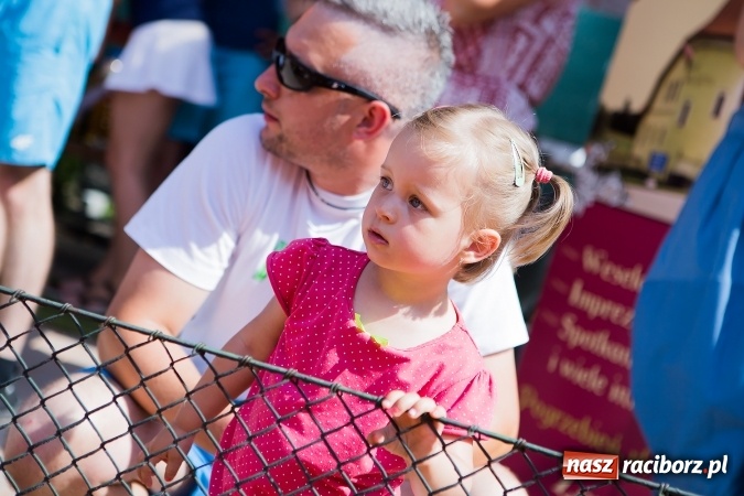 Zdjęcie w galerii na portalu naszraciborz.pl: Tenisowy piknik rodzinny na korcie przy ul. Pracy  wiadomości z regionu