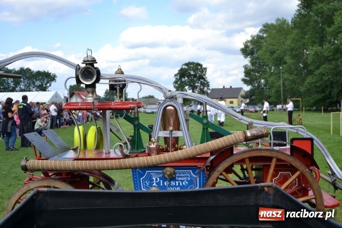 Zdjęcie w galerii na portalu naszraciborz.pl: Zawody sikawek konnych w Bieńkowicach. Złoto dla gospodarzy, Przewozu i Zabełkowa wiadomości z regionu