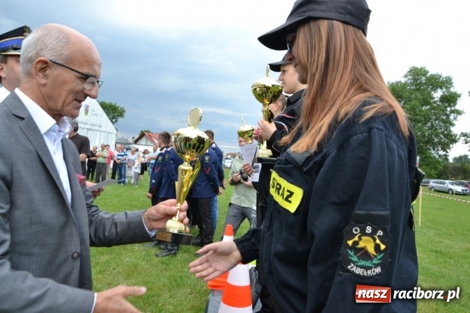 Zdjęcie w galerii na portalu naszraciborz.pl: Zawody sikawek konnych w Bieńkowicach. Złoto dla gospodarzy, Przewozu i Zabełkowa wiadomości z regionu