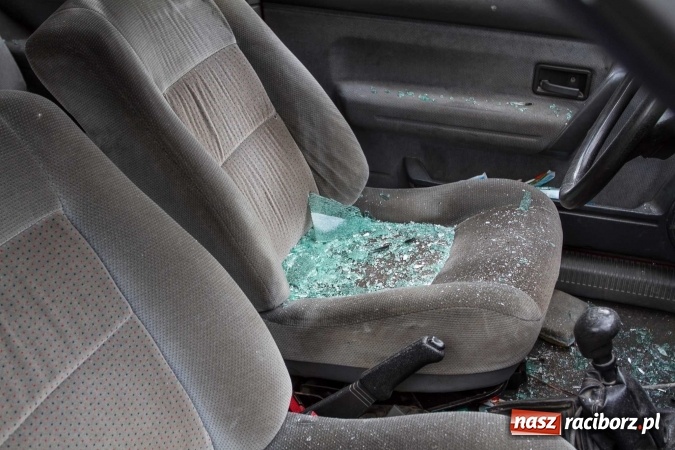 Zdjęcie w galerii na portalu naszraciborz.pl: Pokaz najnowszego sprzętu strażackiego na festynie w Krzanowicach wiadomości z regionu