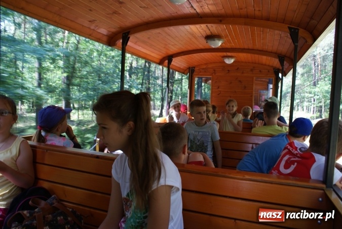 Zdjęcie w galerii na portalu naszraciborz.pl: Pierwszy tydzień wakacji z klubem M-5  wiadomości z regionu