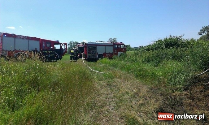 Zdjęcie w galerii na portalu naszraciborz.pl: Weekend strażaków - pożary, wypadki, konary i błoto na jezdniach, fałszywe alarmy  wiadomości z regionu