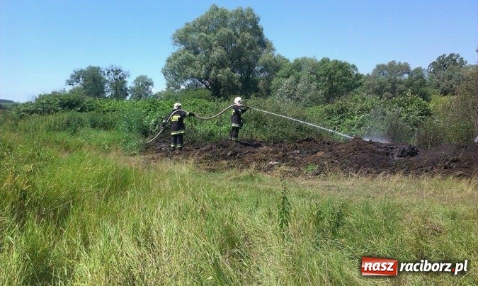 Zdjęcie w galerii na portalu naszraciborz.pl: Weekend strażaków - pożary, wypadki, konary i błoto na jezdniach, fałszywe alarmy  wiadomości z regionu