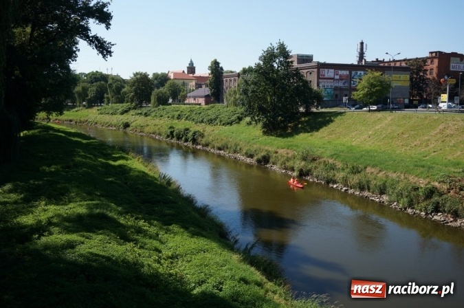 Zdjęcie w galerii na portalu naszraciborz.pl: Pociągiem, kajakiem, autokarem i piechotą przez Racibórz i Ziemię Raciborską - czyli branża turystyczna zwiedza naszą okolicę!  wiadomości z regionu