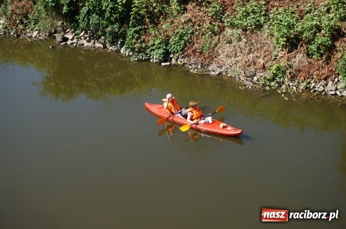 Zdjęcie w galerii na portalu naszraciborz.pl: Pociągiem, kajakiem, autokarem i piechotą przez Racibórz i Ziemię Raciborską - czyli branża turystyczna zwiedza naszą okolicę!  wiadomości z regionu