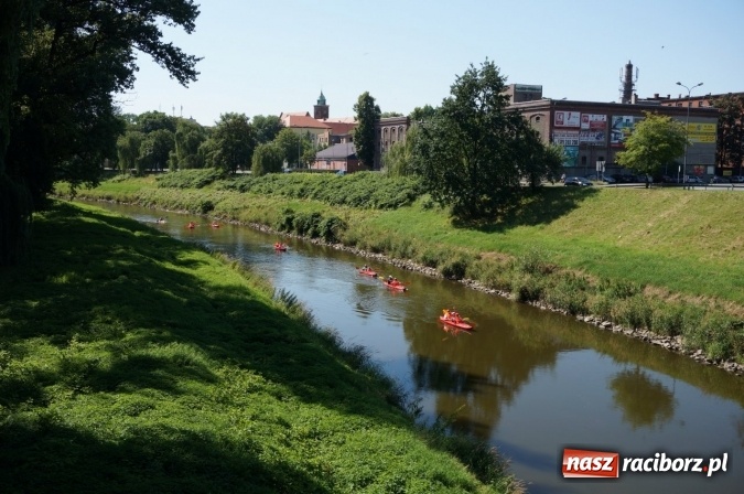 Zdjęcie w galerii na portalu naszraciborz.pl: Pociągiem, kajakiem, autokarem i piechotą przez Racibórz i Ziemię Raciborską - czyli branża turystyczna zwiedza naszą okolicę!  wiadomości z regionu