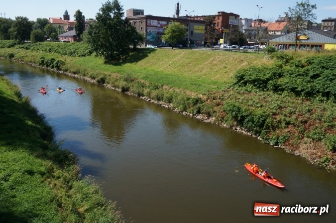 Zdjęcie w galerii na portalu naszraciborz.pl: Pociągiem, kajakiem, autokarem i piechotą przez Racibórz i Ziemię Raciborską - czyli branża turystyczna zwiedza naszą okolicę!  wiadomości z regionu