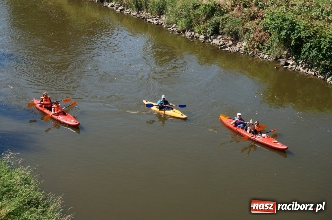 Zdjęcie w galerii na portalu naszraciborz.pl: Pociągiem, kajakiem, autokarem i piechotą przez Racibórz i Ziemię Raciborską - czyli branża turystyczna zwiedza naszą okolicę!  wiadomości z regionu