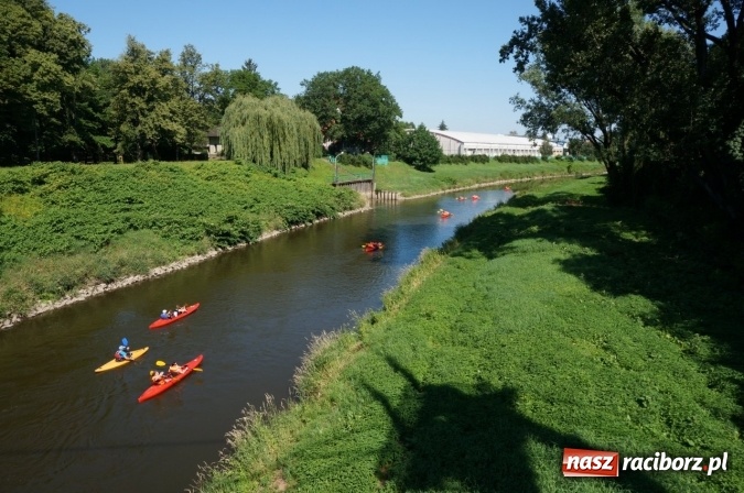 Zdjęcie w galerii na portalu naszraciborz.pl: Pociągiem, kajakiem, autokarem i piechotą przez Racibórz i Ziemię Raciborską - czyli branża turystyczna zwiedza naszą okolicę!  wiadomości z regionu
