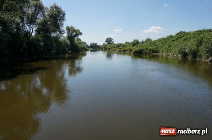 Zdjęcie w galerii na portalu naszraciborz.pl: Pociągiem, kajakiem, autokarem i piechotą przez Racibórz i Ziemię Raciborską - czyli branża turystyczna zwiedza naszą okolicę!  wiadomości z regionu