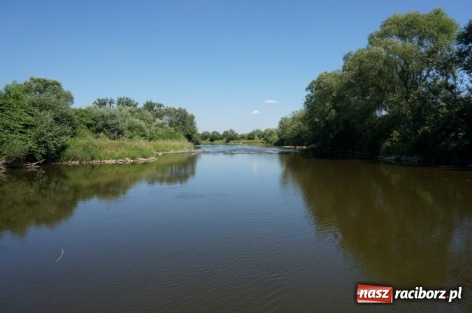 Zdjęcie w galerii na portalu naszraciborz.pl: Pociągiem, kajakiem, autokarem i piechotą przez Racibórz i Ziemię Raciborską - czyli branża turystyczna zwiedza naszą okolicę!  wiadomości z regionu