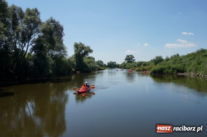 Zdjęcie w galerii na portalu naszraciborz.pl: Pociągiem, kajakiem, autokarem i piechotą przez Racibórz i Ziemię Raciborską - czyli branża turystyczna zwiedza naszą okolicę!  wiadomości z regionu