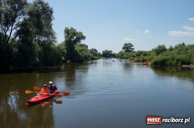Zdjęcie w galerii na portalu naszraciborz.pl: Pociągiem, kajakiem, autokarem i piechotą przez Racibórz i Ziemię Raciborską - czyli branża turystyczna zwiedza naszą okolicę!  wiadomości z regionu