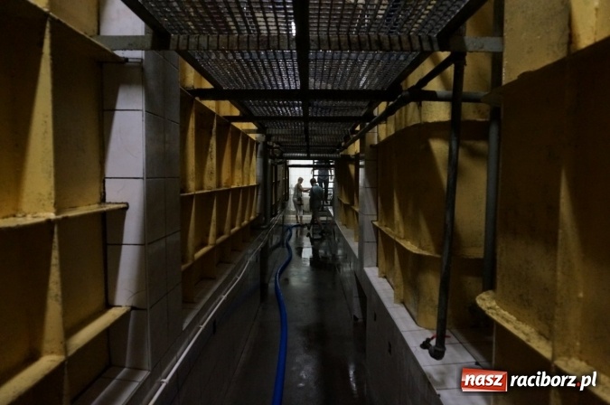 Zdjęcie w galerii na portalu naszraciborz.pl: Pociągiem, kajakiem, autokarem i piechotą przez Racibórz i Ziemię Raciborską - czyli branża turystyczna zwiedza naszą okolicę!  wiadomości z regionu