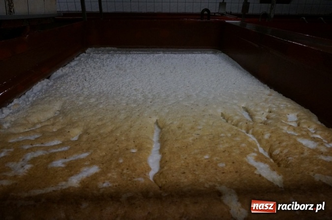 Zdjęcie w galerii na portalu naszraciborz.pl: Pociągiem, kajakiem, autokarem i piechotą przez Racibórz i Ziemię Raciborską - czyli branża turystyczna zwiedza naszą okolicę!  wiadomości z regionu